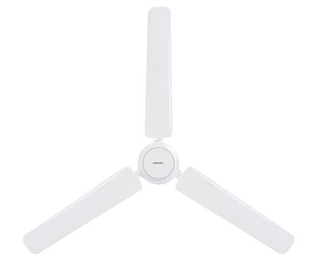 Ceiling-01-l